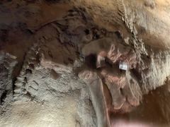 -世界恐龙谷景区