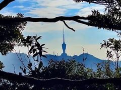 -梧桐山风景名胜区