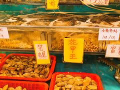 -鲜入围煮花胶鸡海鲜火锅