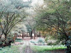 -上海共青森林公园