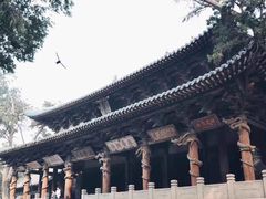 -晋祠公园