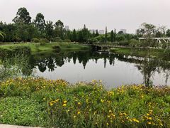 -眉山湿地公园(东坡区)