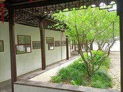 -上海醉白池公园