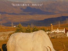 -日月山景区