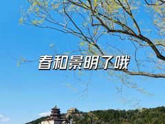 -颐和园
