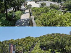 -梧桐山风景名胜区