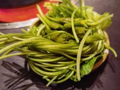 -芸鲜季·云南野生菌餐厅· 云南风物味研社(闵行店)