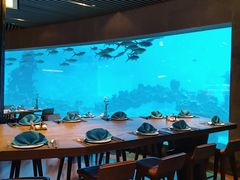 -涛·海底餐厅·美人鱼·自助餐·海底隧道(三亚海棠湾洲际度假酒店)
