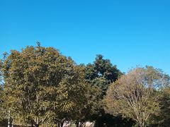 -牛岗山公园