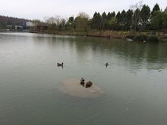 怡沁园度假村-上海怡沁园度假酒店