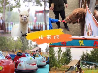 疫情过后宝贝们在家呆的是不是很无聊呢最近发现了一个很