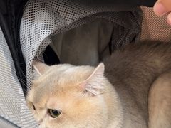 -美联众合动物医院·24h京西诊疗中心