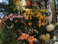 -知物癖(牛王庙店)