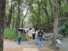 -句容茅山景区