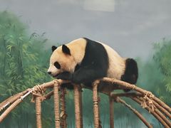 -杭州动物园