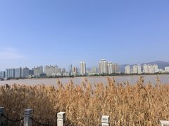 -江心屿景区