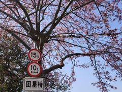 -风云岭森林公园