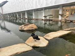 -罗红摄影艺术馆