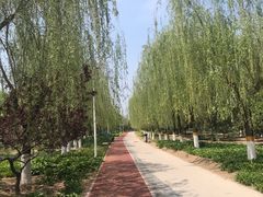 -绿堤公园