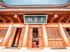 -上海东林寺(金山区)