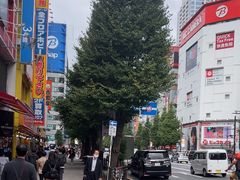 -秋叶原电器街