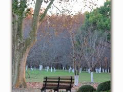 -上海共青森林公园