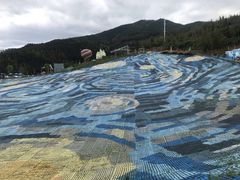 -瓷天下海丝谷