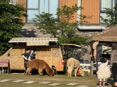 -天目湖涵田度假村
