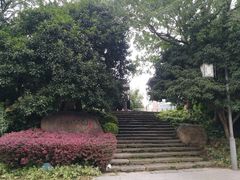 -活水公园
