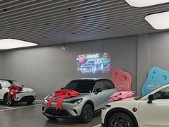 -上海浦东smart汽车全功能店(金桥店)