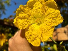 -天津东丽湖风景区