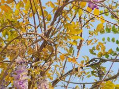 -永定河休闲森林公园