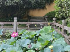 -慧因高丽寺