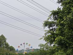 -水濂山森林公园