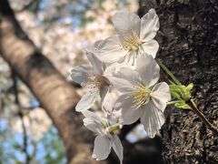 -星湖街(地铁站)