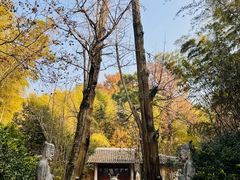 -东钱湖旅游度假区