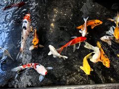 -天津海河悦榕庄·Lobby Lounge大堂吧