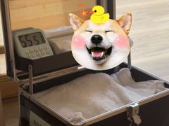 -东方之珠洗浴休闲广场(南开店)