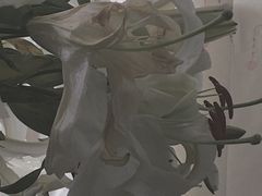 -南京瀚金佰九号温泉酒店