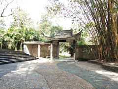 -广西壮族自治区药用植物园