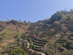 -象头山国家级自然保护区