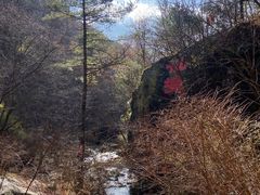 -朱雀国家森林公园