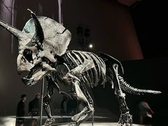 -墨尔本博物馆(Melbourne Museum)