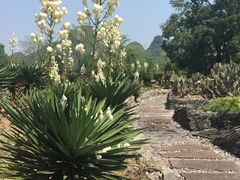 -Club Med地中海俱乐部·桂林度假村