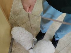 -美联众合动物医院·24h转诊中心