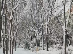 -美泰泰国餐厅(中大银泰店)