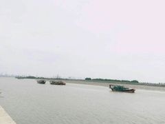 -大湾区中央湿地公园-十九涌