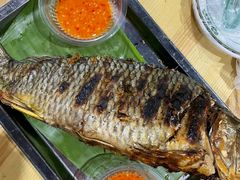 -杨合林啊兰烤鱼