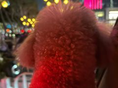 -楠火锅(仁恒梦中心店)