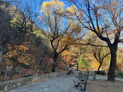 -北京鹫峰国家森林公园